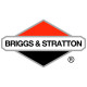 Двигатели Briggs-Stratton в Кемерово